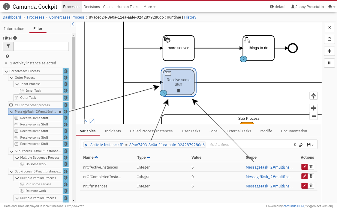 Process Instance View